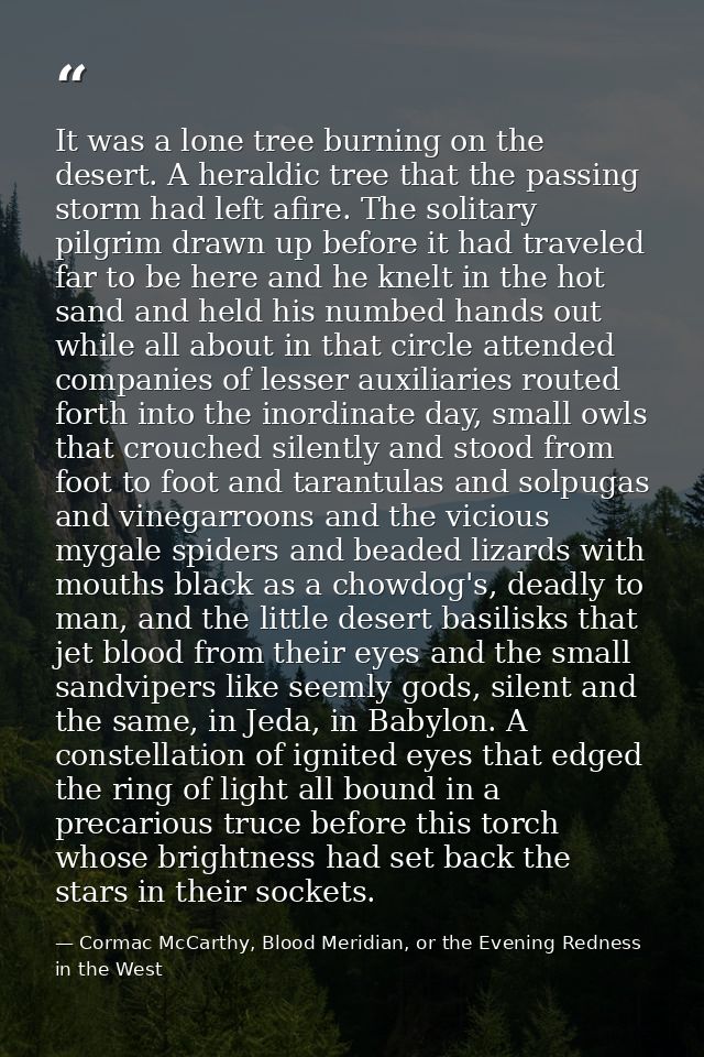 It was a lone tree burning on the desert. A heraldic tree that the passing storm had left afire. The solitary pilgrim dr — Cormac McCarthy, Blood Meridian, or the Evening Redness in the West