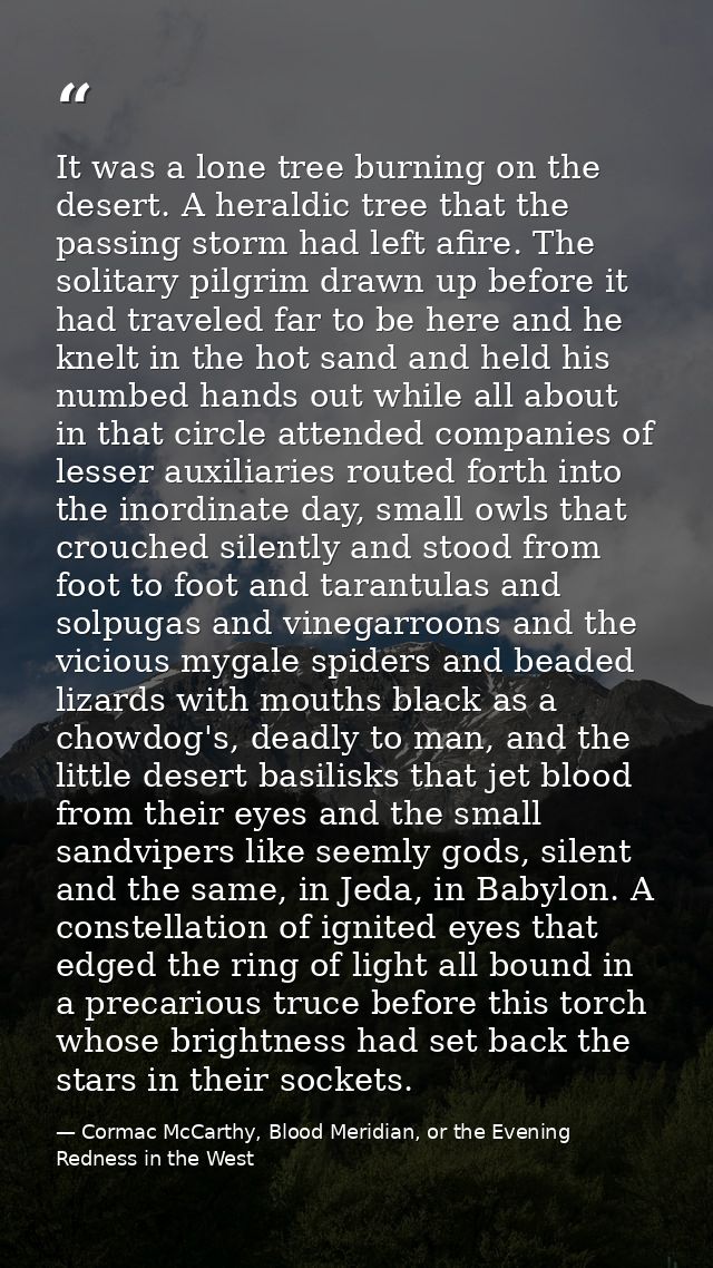 It was a lone tree burning on the desert. A heraldic tree that the passing storm had left afire. The solitary pilgrim dr — Cormac McCarthy, Blood Meridian, or the Evening Redness in the West