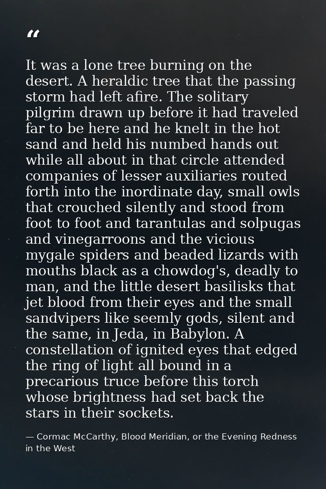It was a lone tree burning on the desert. A heraldic tree that the passing storm had left afire. The solitary pilgrim dr — Cormac McCarthy, Blood Meridian, or the Evening Redness in the West