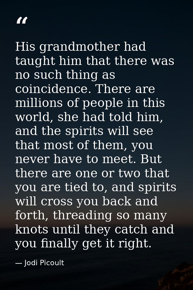His grandmother had taught him that there was no such thing as coincidence. There are millions of people in this world,  — Jodi Picoult
