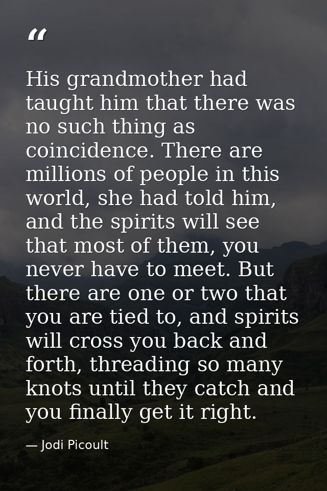 His grandmother had taught him that there was no such thing as coincidence. There are millions of people in this world,  — Jodi Picoult