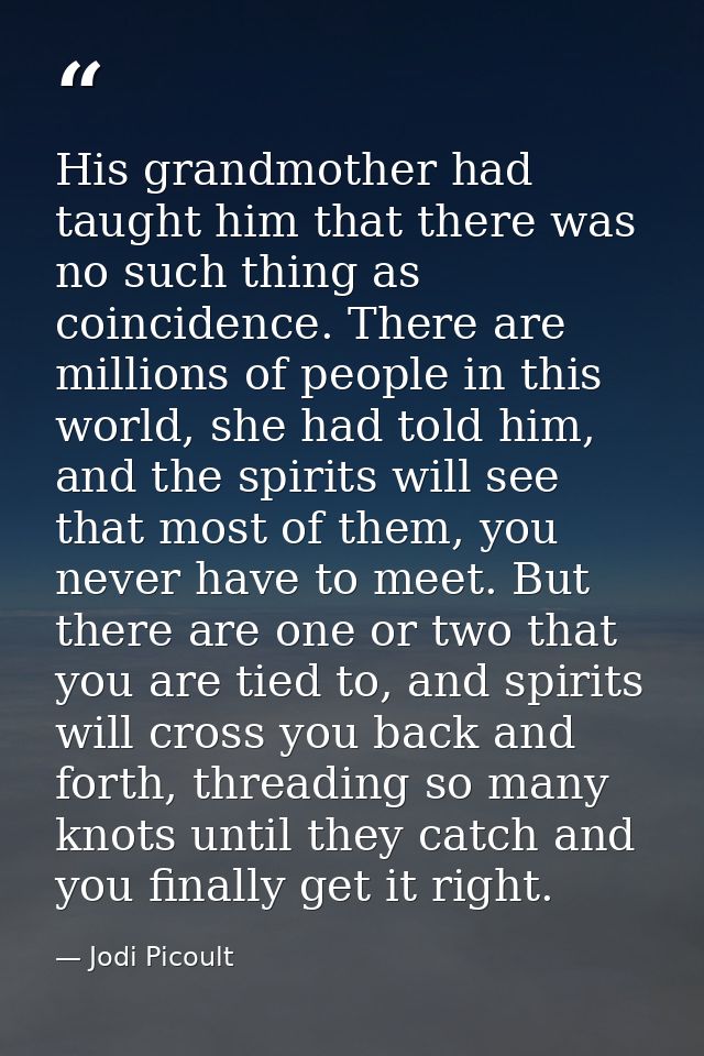 His grandmother had taught him that there was no such thing as coincidence. There are millions of people in this world,  — Jodi Picoult