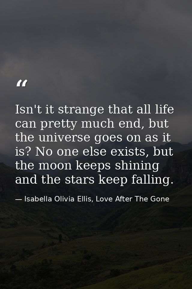 Isn't it strange that all life can pretty much end, but the universe goes on as it is? No one else exists, but the moon  — Isabella Olivia Ellis, Love After The Gone