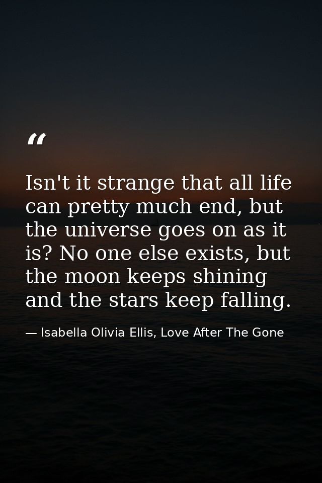 Isn't it strange that all life can pretty much end, but the universe goes on as it is? No one else exists, but the moon  — Isabella Olivia Ellis, Love After The Gone
