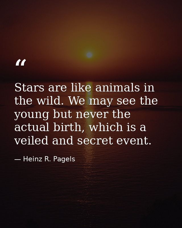 Stars are like animals in the wild. We may see the young but never the actual birth, which is a veiled and secret event. — Heinz R. Pagels