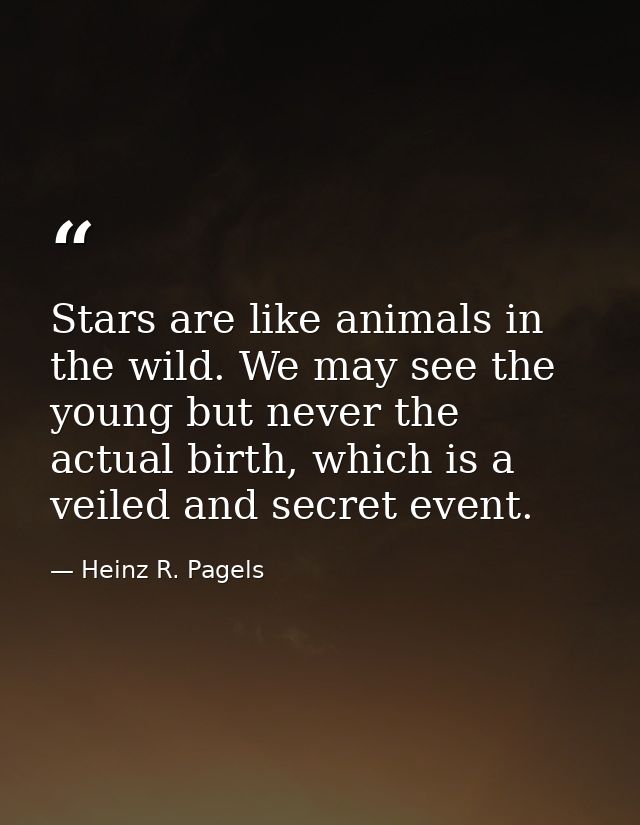 Stars are like animals in the wild. We may see the young but never the actual birth, which is a veiled and secret event. — Heinz R. Pagels
