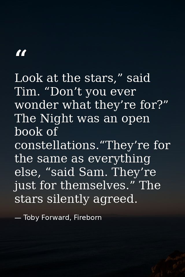 Look at the stars,” said Tim. “Don’t you ever wonder what they’re for?” The Night was an open book of constellations.“Th — Toby Forward, Fireborn