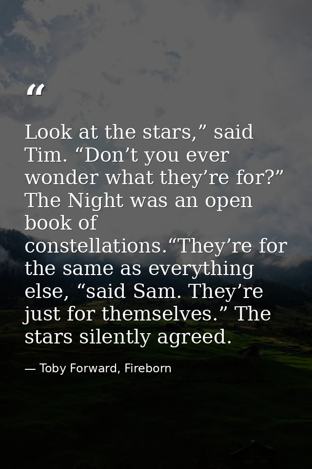 Look at the stars,” said Tim. “Don’t you ever wonder what they’re for?” The Night was an open book of constellations.“Th — Toby Forward, Fireborn