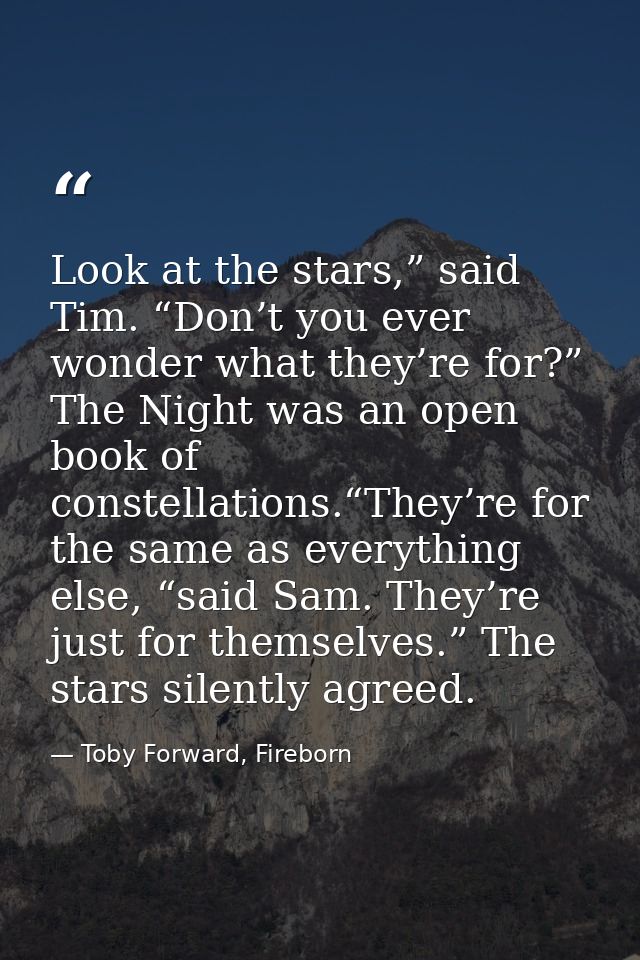 Look at the stars,” said Tim. “Don’t you ever wonder what they’re for?” The Night was an open book of constellations.“Th — Toby Forward, Fireborn