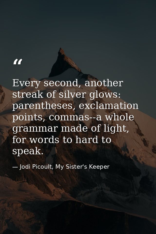 Every second, another streak of silver glows: parentheses, exclamation points, commas--a whole grammar made of light, fo — Jodi Picoult, My Sister's Keeper