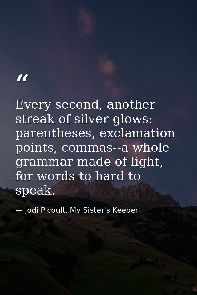 Every second, another streak of silver glows: parentheses, exclamation points, commas--a whole grammar made of light, fo — Jodi Picoult, My Sister's Keeper