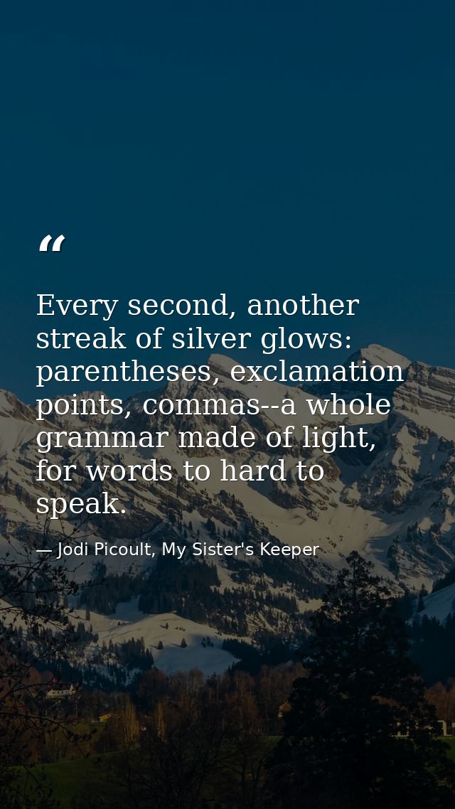 Every second, another streak of silver glows: parentheses, exclamation points, commas--a whole grammar made of light, fo — Jodi Picoult, My Sister's Keeper