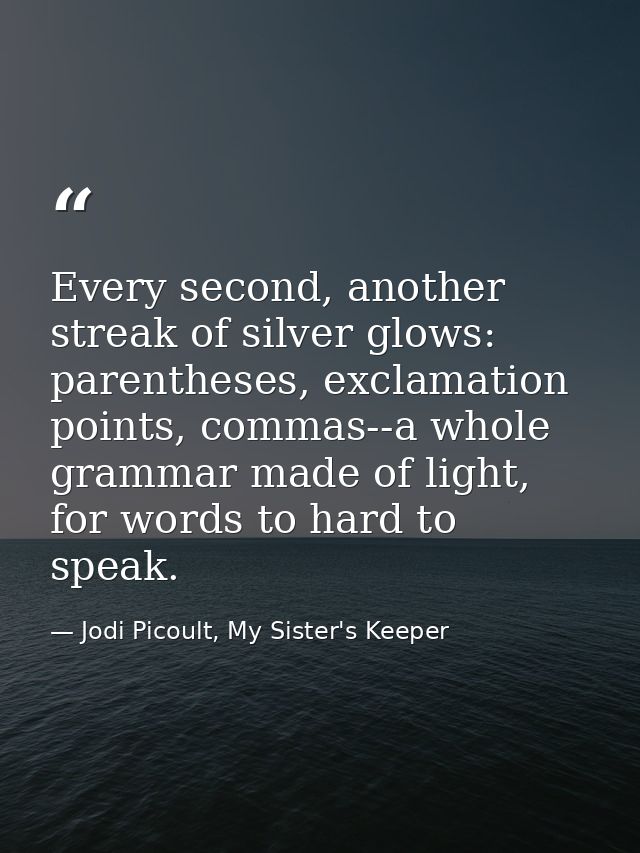 Every second, another streak of silver glows: parentheses, exclamation points, commas--a whole grammar made of light, fo — Jodi Picoult, My Sister's Keeper