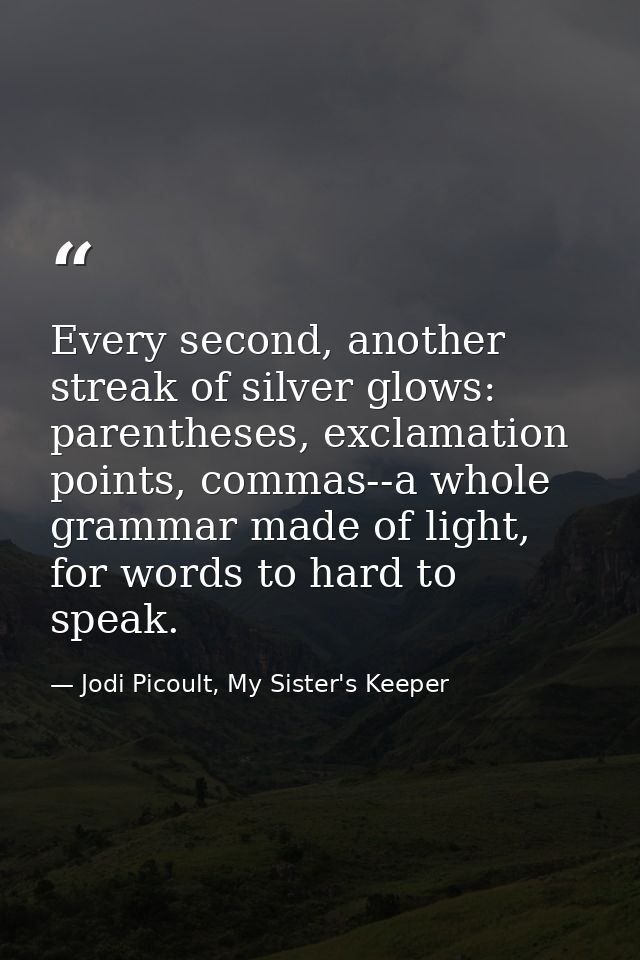 Every second, another streak of silver glows: parentheses, exclamation points, commas--a whole grammar made of light, fo — Jodi Picoult, My Sister's Keeper