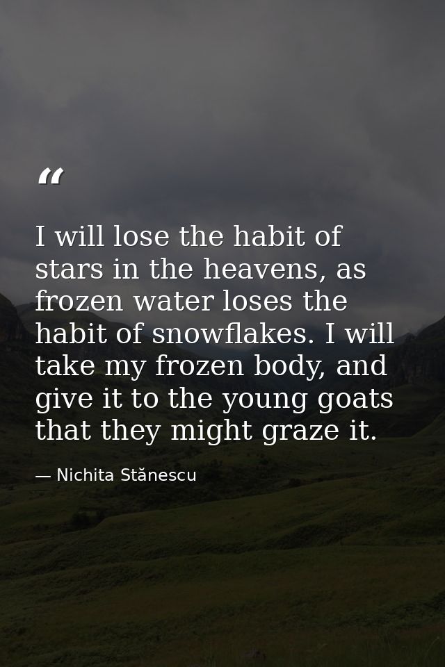 I will lose the habit of stars in the heavens, as frozen water loses the habit of snowflakes. I will take my frozen body — Nichita Stănescu