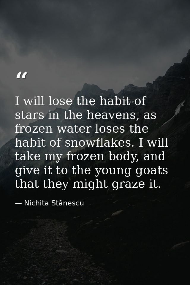 I will lose the habit of stars in the heavens, as frozen water loses the habit of snowflakes. I will take my frozen body — Nichita Stănescu