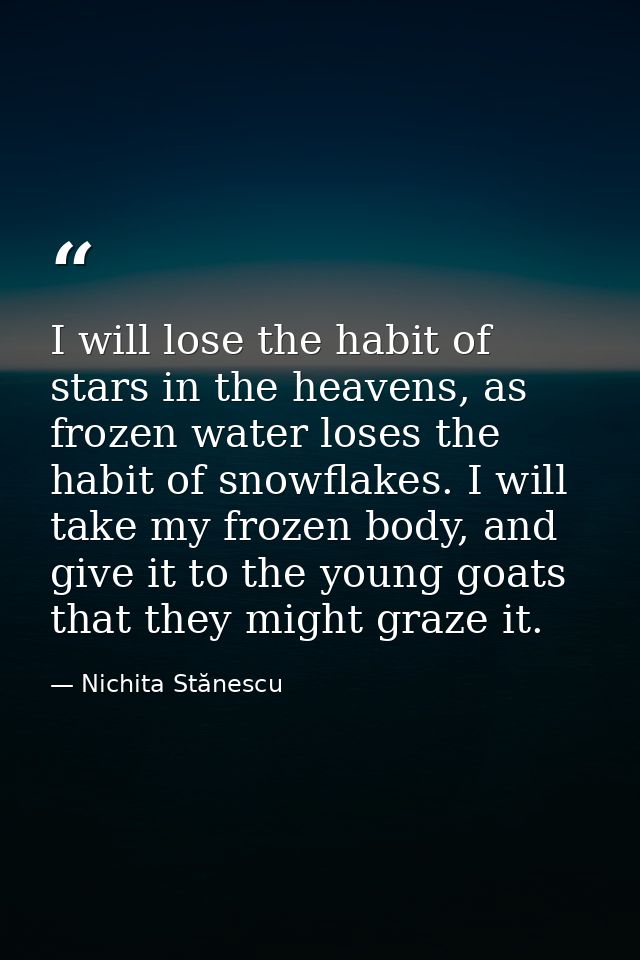 I will lose the habit of stars in the heavens, as frozen water loses the habit of snowflakes. I will take my frozen body — Nichita Stănescu