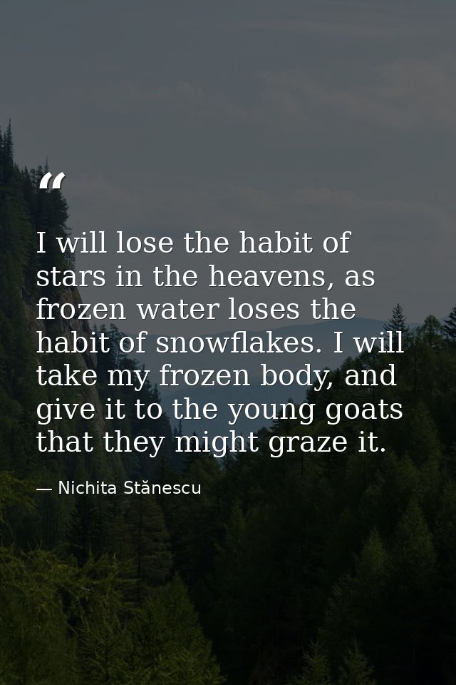 I will lose the habit of stars in the heavens, as frozen water loses the habit of snowflakes. I will take my frozen body — Nichita Stănescu