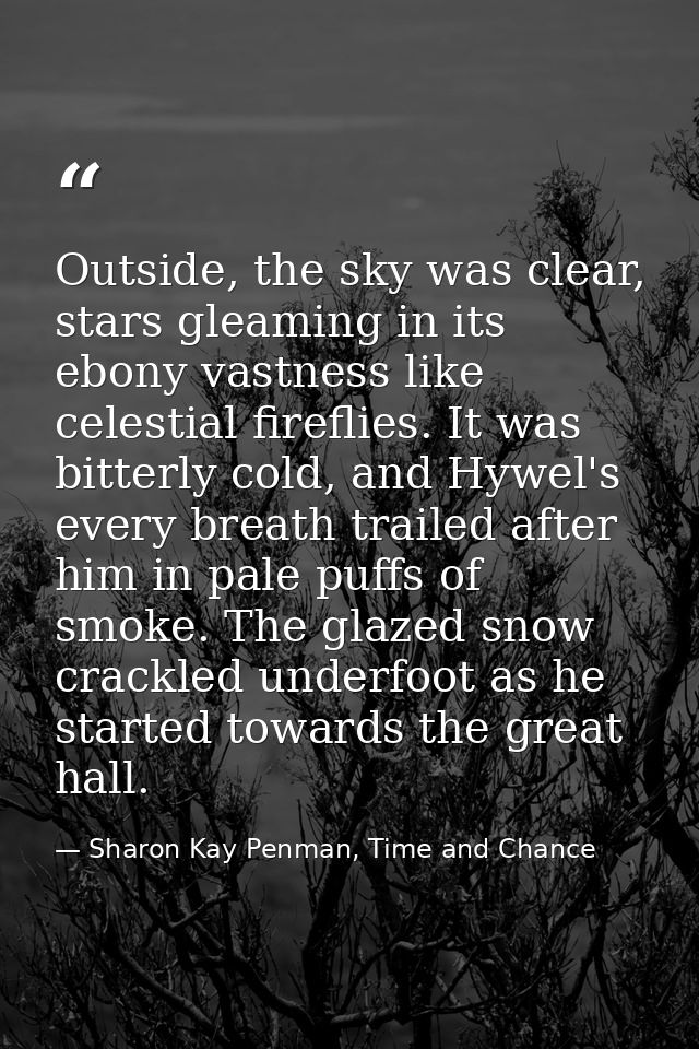 Outside, the sky was clear, stars gleaming in its ebony vastness like celestial fireflies. It was bitterly cold, and Hyw — Sharon Kay Penman, Time and Chance