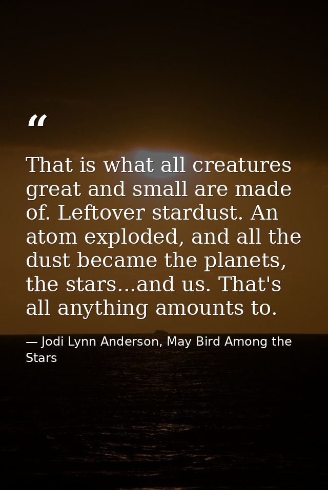 That is what all creatures great and small are made of. Leftover stardust. An atom exploded, and all the dust became the — Jodi Lynn Anderson, May Bird Among the Stars