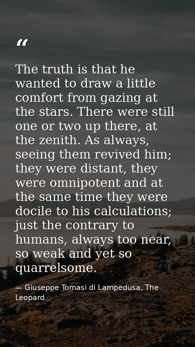 The truth is that he wanted to draw a little comfort from gazing at the stars. There were still one or two up there, at  — Giuseppe Tomasi di Lampedusa, The Leopard