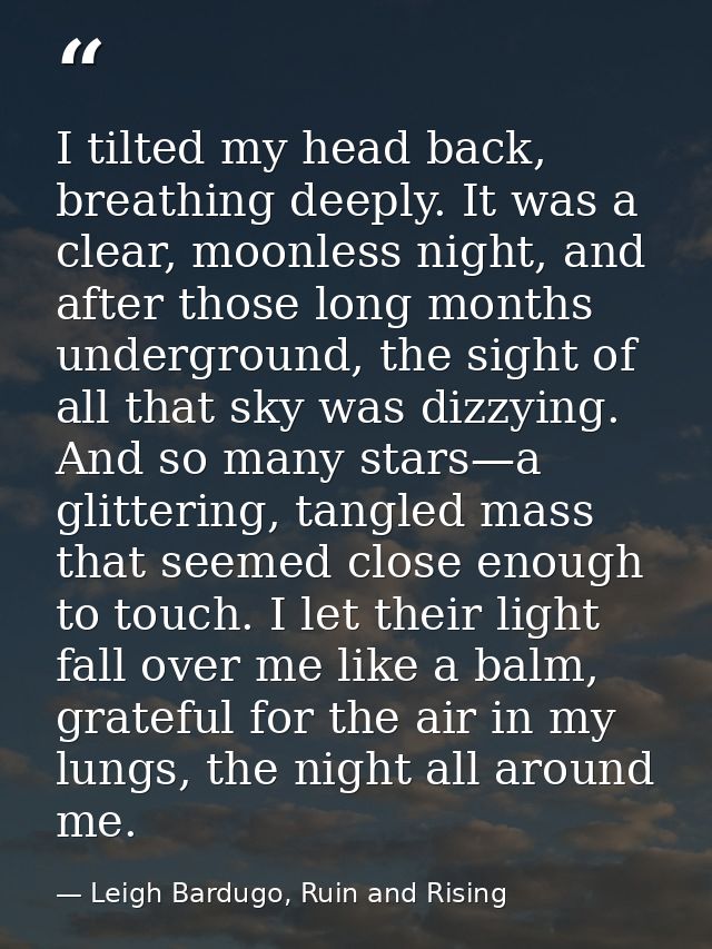 I tilted my head back, breathing deeply. It was a clear, moonless night, and after those long months underground, the si — Leigh Bardugo, Ruin and Rising
