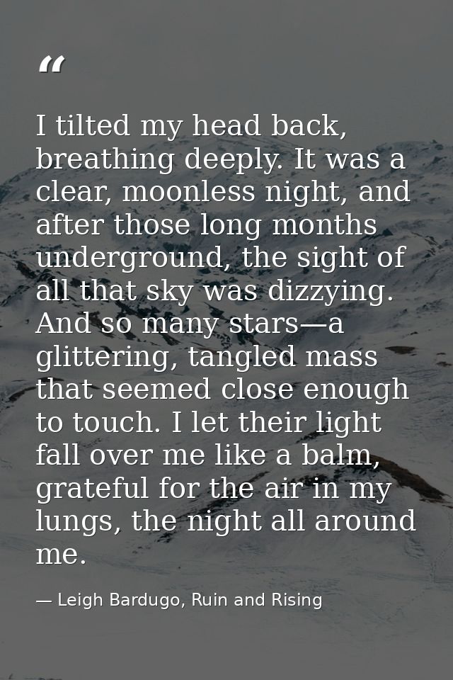 I tilted my head back, breathing deeply. It was a clear, moonless night, and after those long months underground, the si — Leigh Bardugo, Ruin and Rising