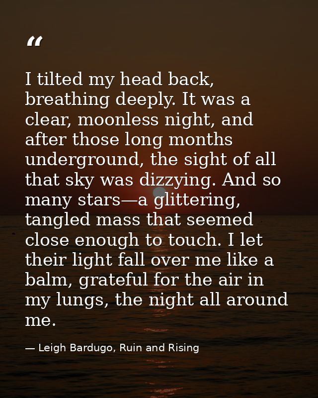 I tilted my head back, breathing deeply. It was a clear, moonless night, and after those long months underground, the si — Leigh Bardugo, Ruin and Rising