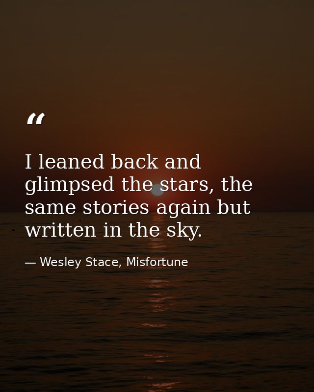 I leaned back and glimpsed the stars, the same stories again but written in the sky. — Wesley Stace, Misfortune