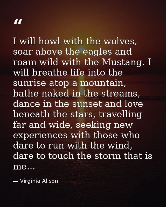 I will howl with the wolves, soar above the eagles and roam wild with the Mustang. I will breathe life into the sunrise  — Virginia Alison