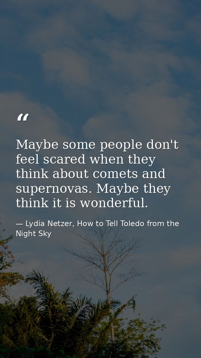 Maybe some people don't feel scared when they think about comets and supernovas. Maybe they think it is wonderful. — Lydia Netzer, How to Tell Toledo from the Night Sky