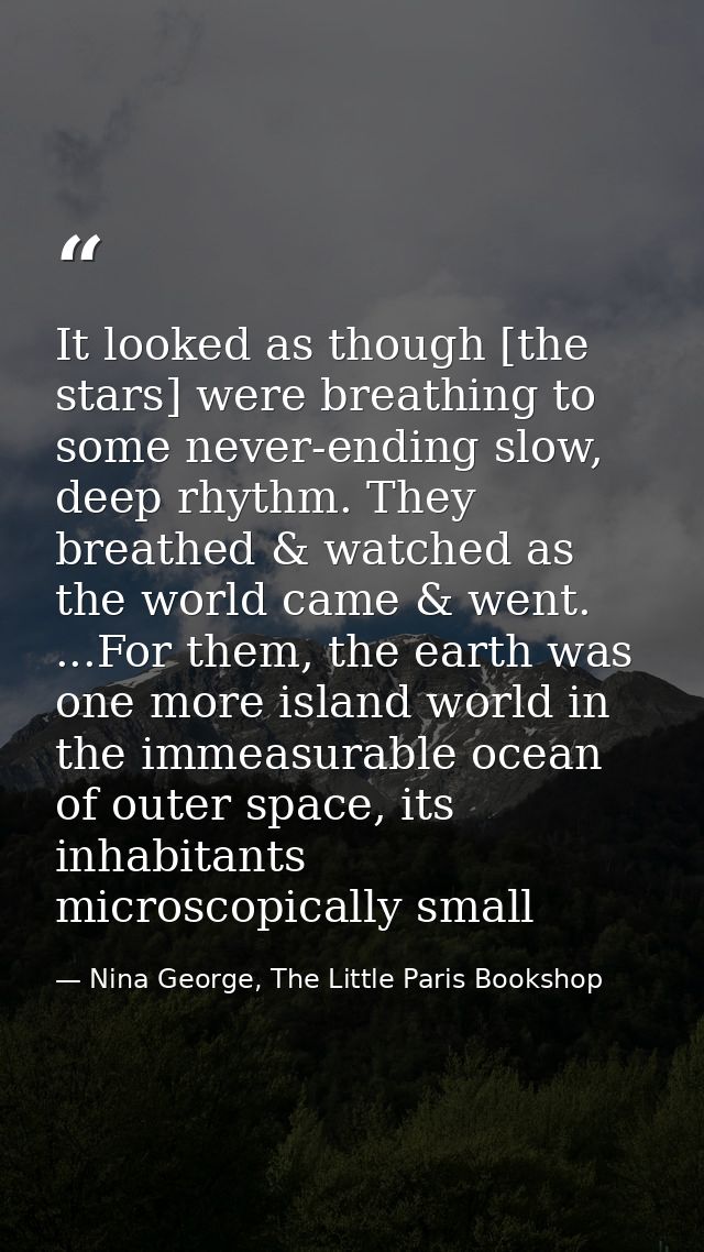 It looked as though [the stars] were breathing to some never-ending slow, deep rhythm. They breathed & watched as the wo — Nina George, The Little Paris Bookshop