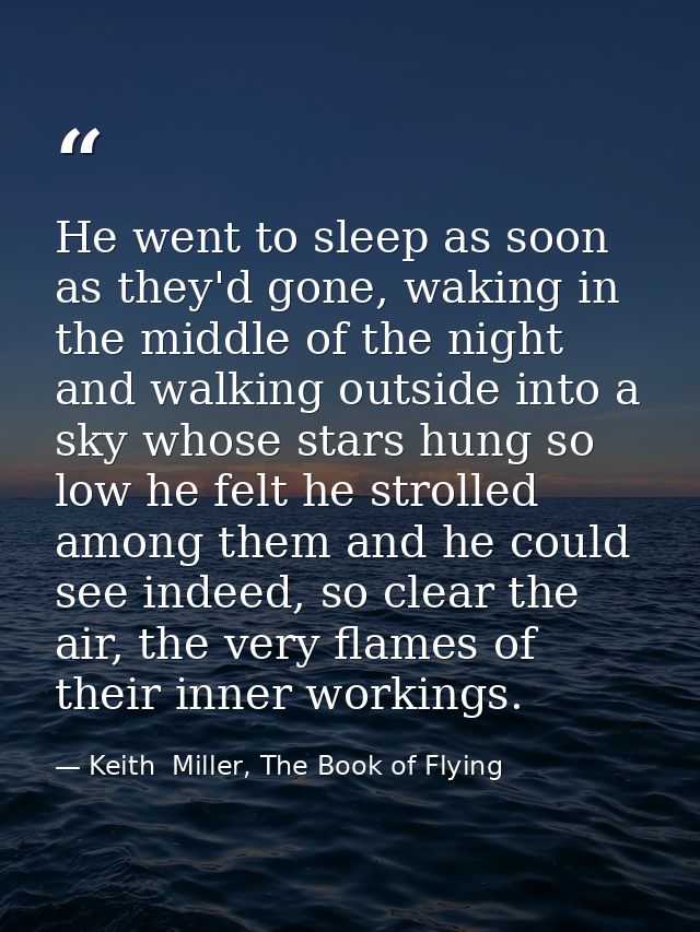 He went to sleep as soon as they'd gone, waking in the middle of the night and walking outside into a sky whose stars hu — Keith  Miller, The Book of Flying