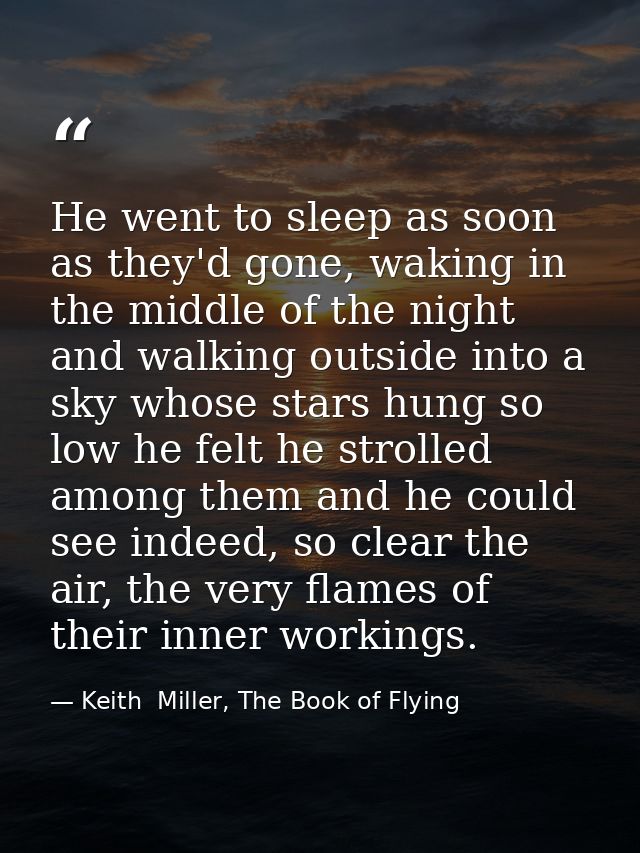 He went to sleep as soon as they'd gone, waking in the middle of the night and walking outside into a sky whose stars hu — Keith  Miller, The Book of Flying