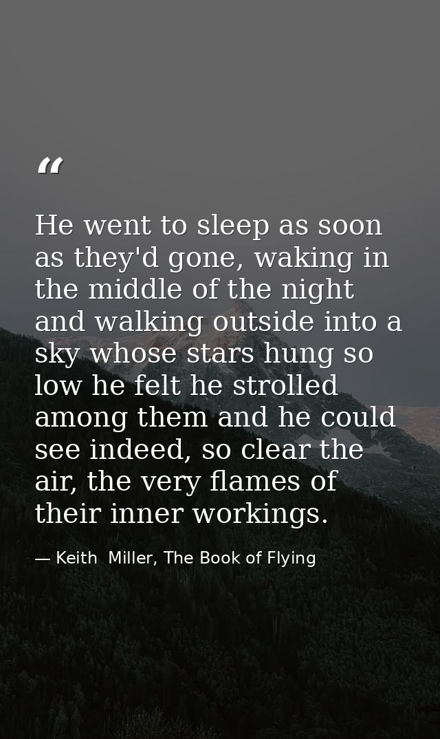 He went to sleep as soon as they'd gone, waking in the middle of the night and walking outside into a sky whose stars hu — Keith  Miller, The Book of Flying