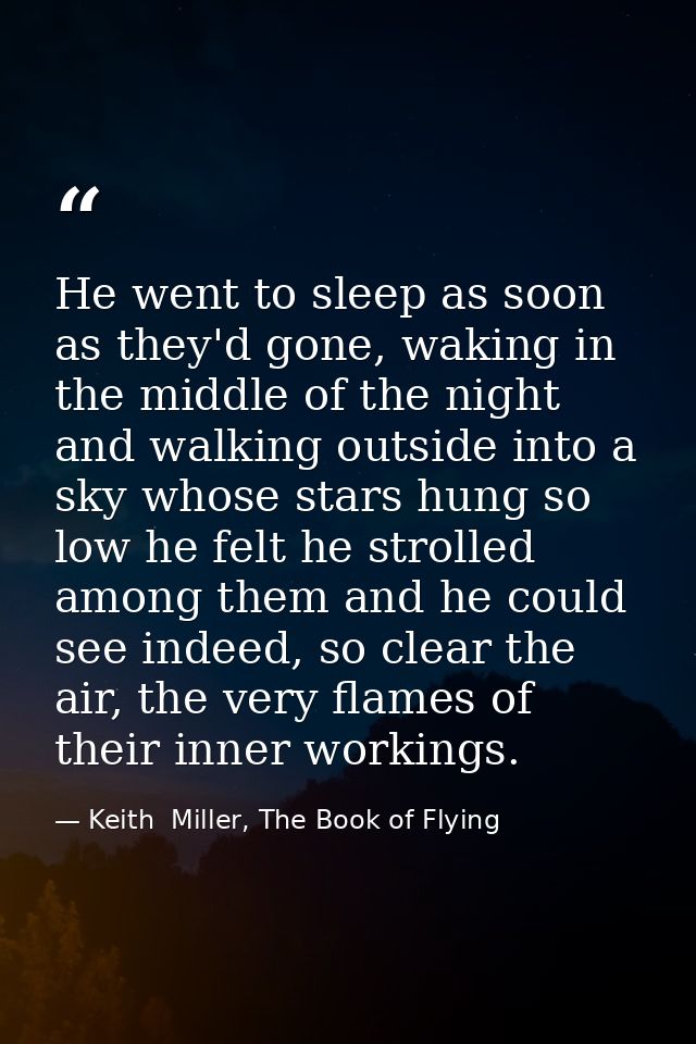 He went to sleep as soon as they'd gone, waking in the middle of the night and walking outside into a sky whose stars hu — Keith  Miller, The Book of Flying