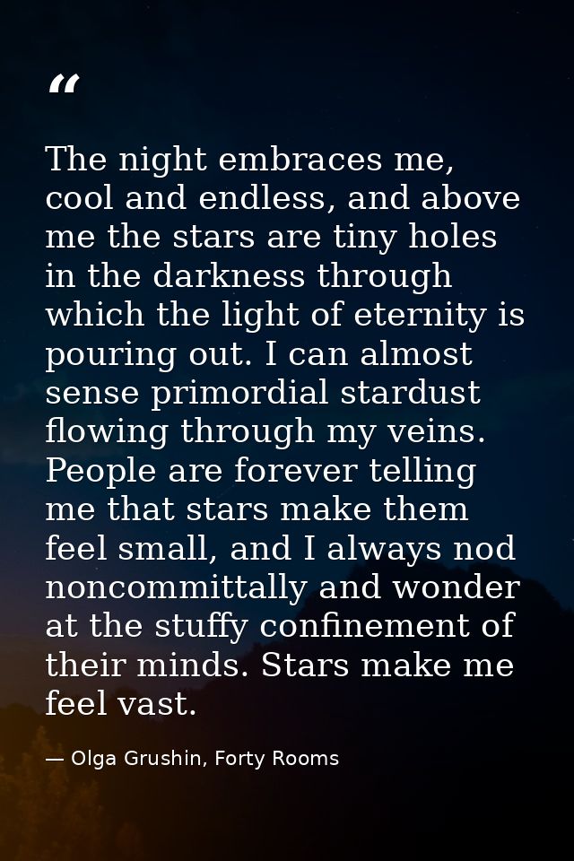 The night embraces me, cool and endless, and above me the stars are tiny holes in the darkness through which the light o — Olga Grushin, Forty Rooms