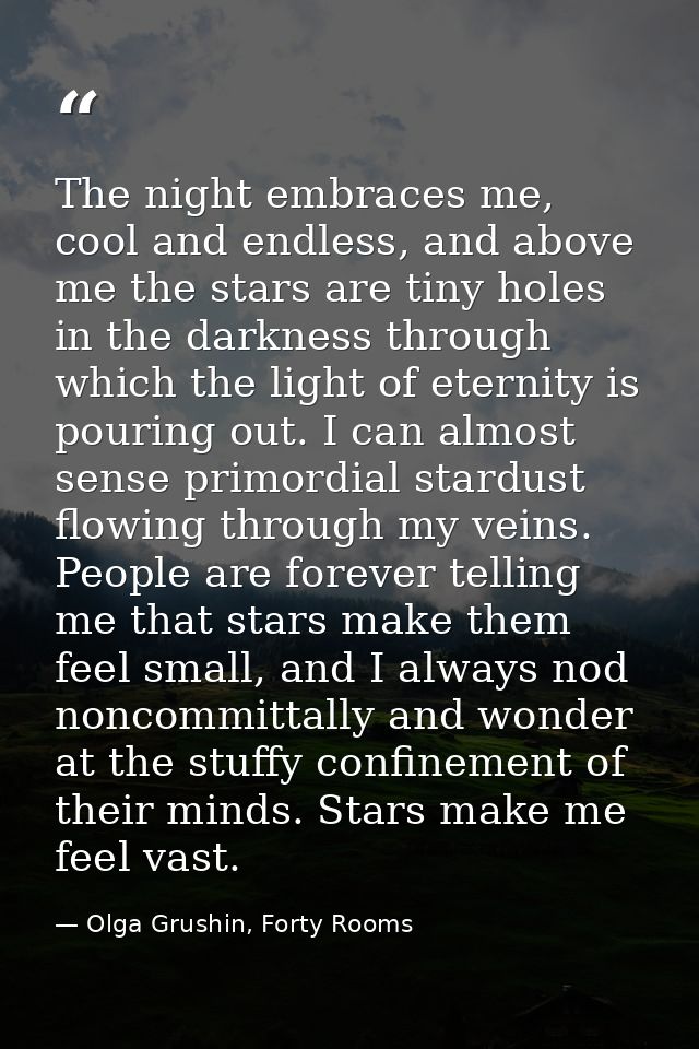 The night embraces me, cool and endless, and above me the stars are tiny holes in the darkness through which the light o — Olga Grushin, Forty Rooms