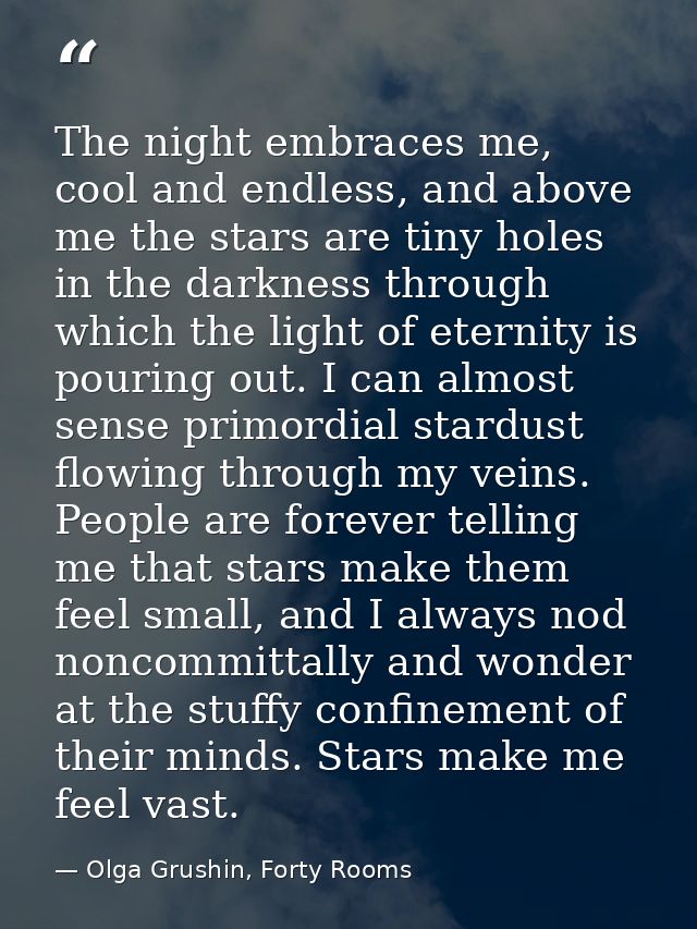 The night embraces me, cool and endless, and above me the stars are tiny holes in the darkness through which the light o — Olga Grushin, Forty Rooms