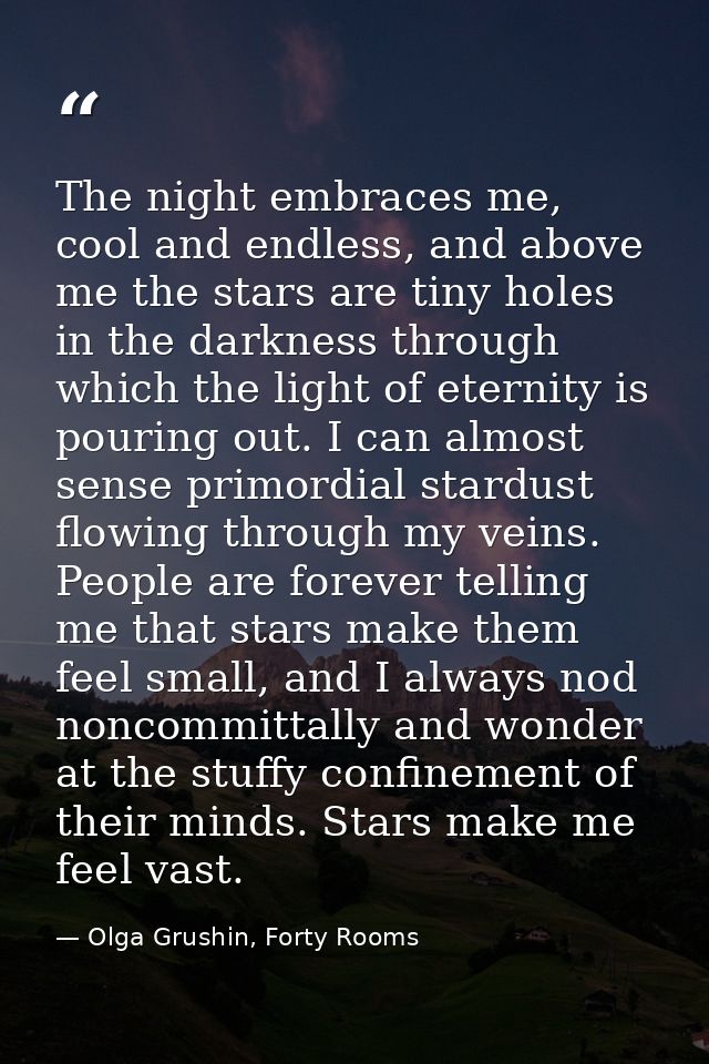 The night embraces me, cool and endless, and above me the stars are tiny holes in the darkness through which the light o — Olga Grushin, Forty Rooms