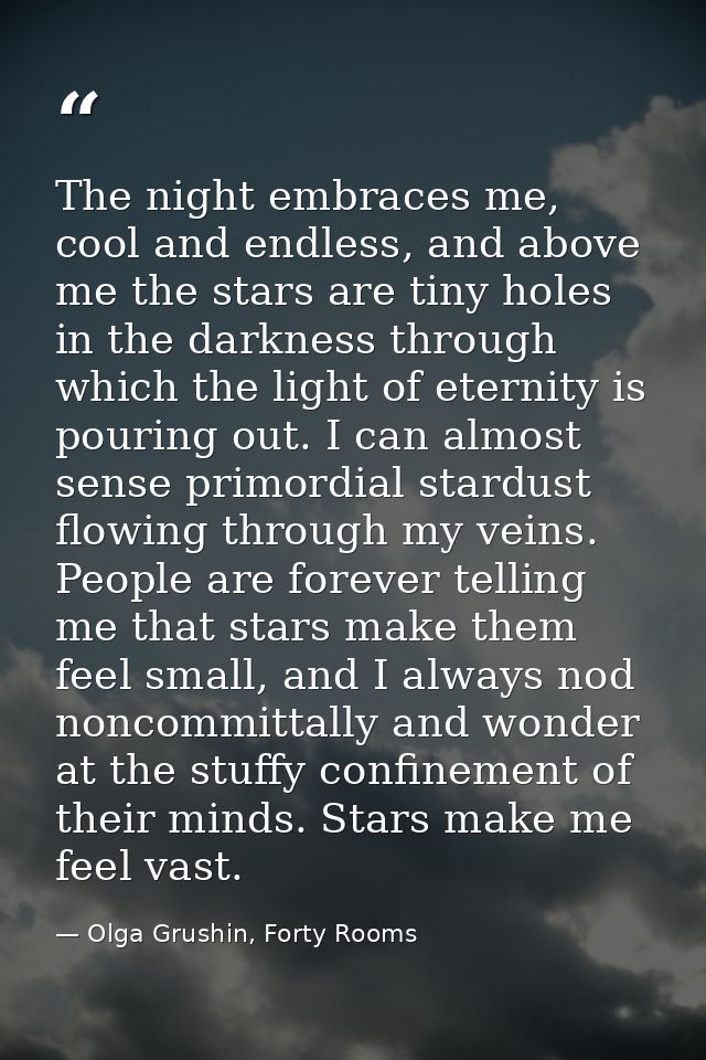 The night embraces me, cool and endless, and above me the stars are tiny holes in the darkness through which the light o — Olga Grushin, Forty Rooms