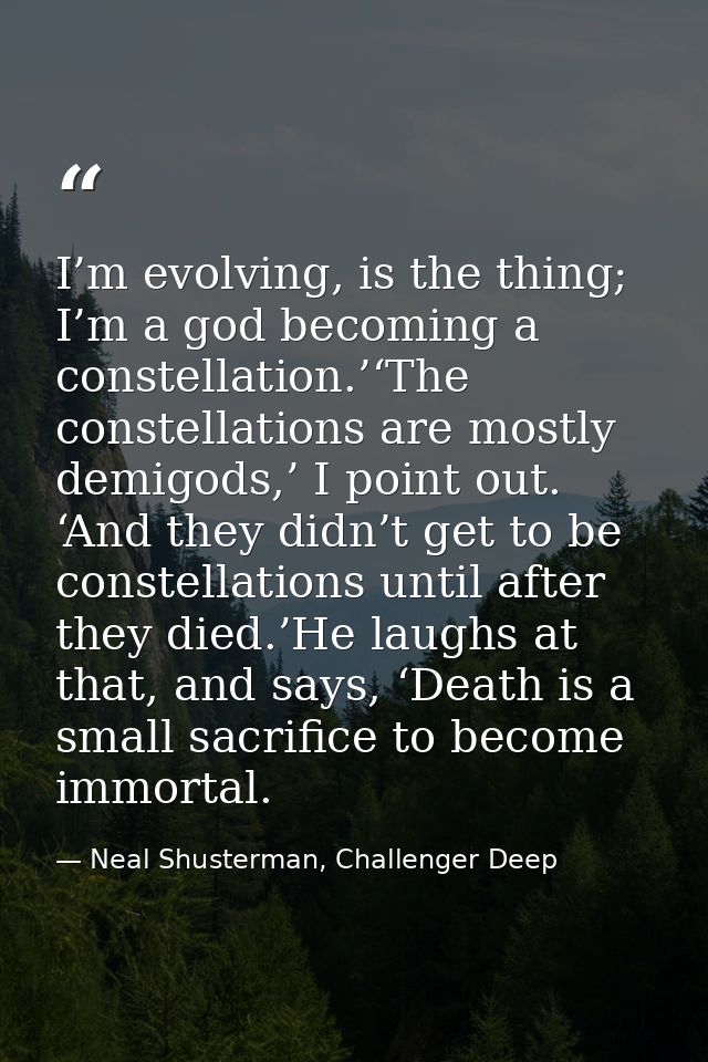 I’m evolving, is the thing; I’m a god becoming a constellation.’‘The constellations are mostly demigods,’ I point out. ‘ — Neal Shusterman, Challenger Deep