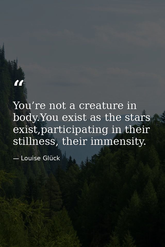 You’re not a creature in body.You exist as the stars exist,participating in their stillness, their immensity. — Louise Glück