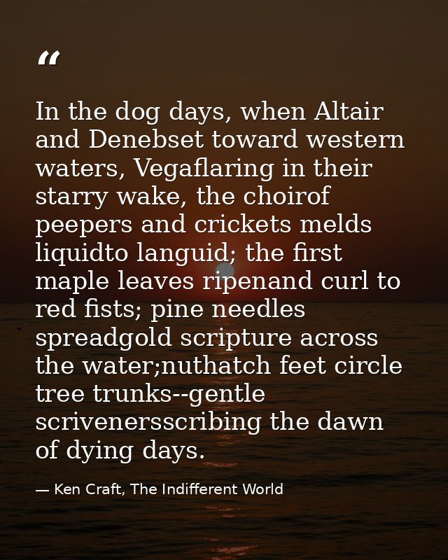 In the dog days, when Altair and Denebset toward western waters, Vegaflaring in their starry wake, the choirof peepers a — Ken Craft, The Indifferent World