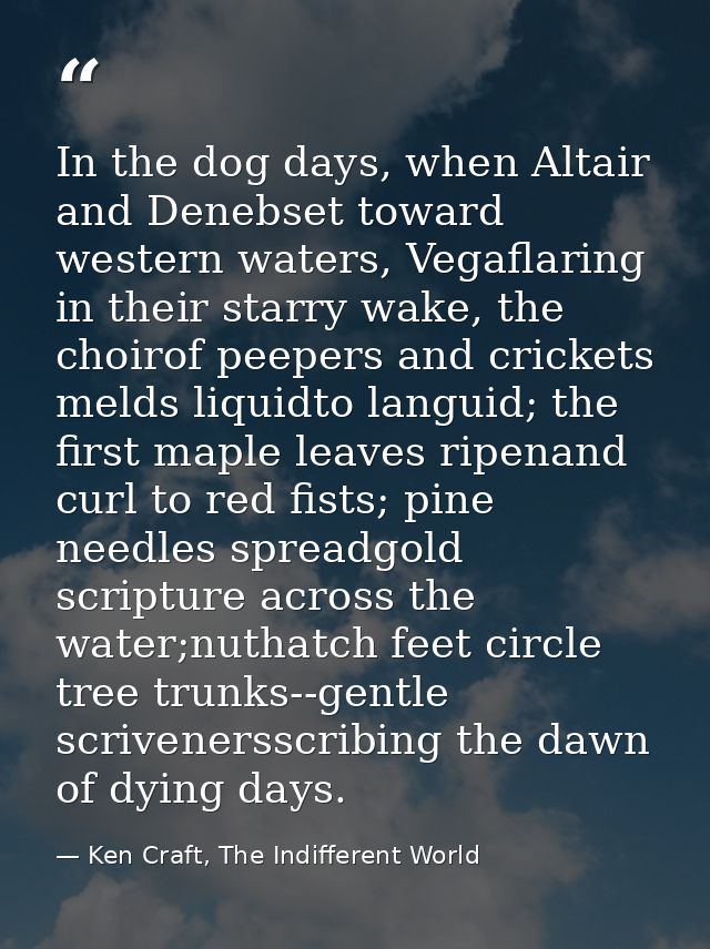 In the dog days, when Altair and Denebset toward western waters, Vegaflaring in their starry wake, the choirof peepers a — Ken Craft, The Indifferent World