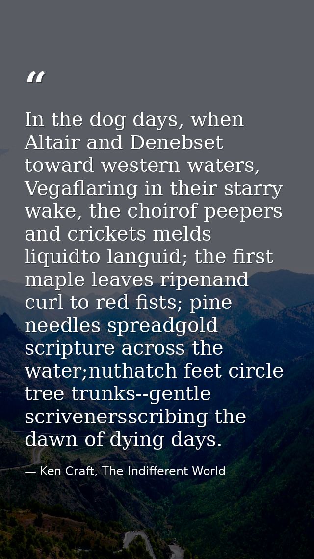 In the dog days, when Altair and Denebset toward western waters, Vegaflaring in their starry wake, the choirof peepers a — Ken Craft, The Indifferent World