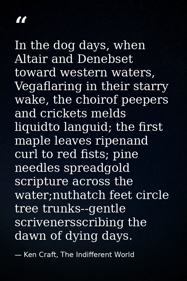 In the dog days, when Altair and Denebset toward western waters, Vegaflaring in their starry wake, the choirof peepers a — Ken Craft, The Indifferent World