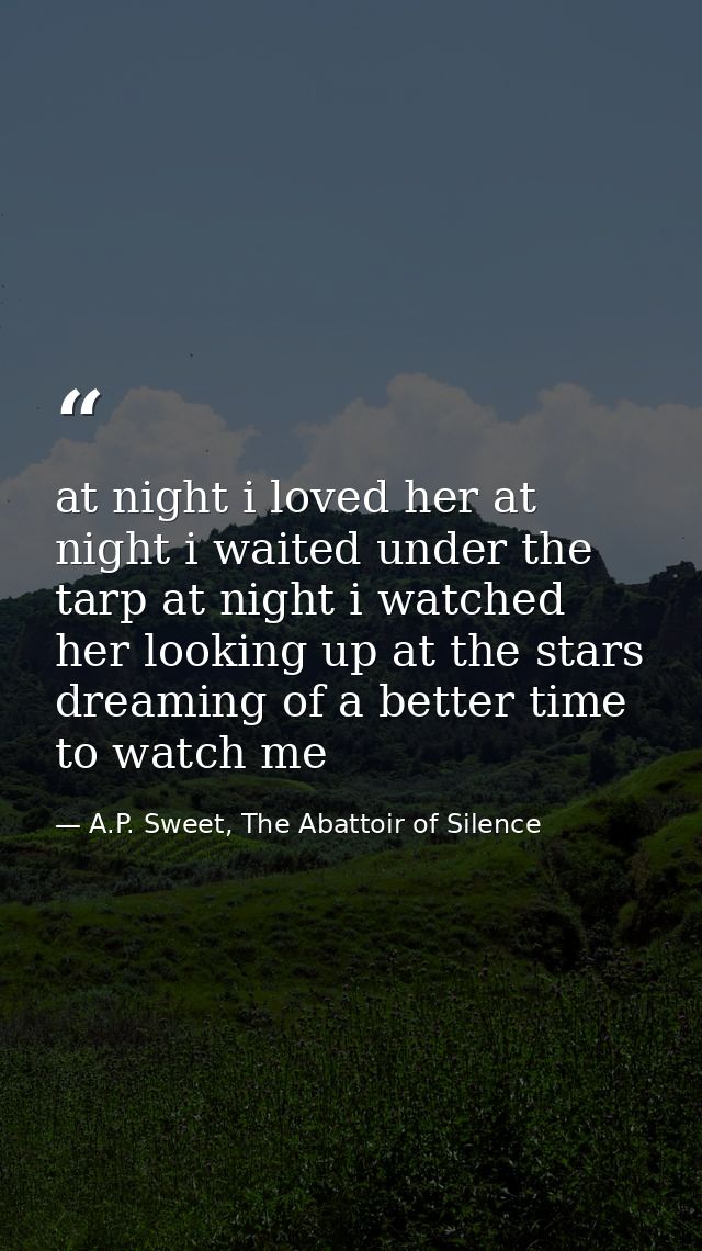 at night i loved her at night i waited under the tarp at night i watched her looking up at the stars dreaming of a bette — A.P. Sweet, The Abattoir of Silence