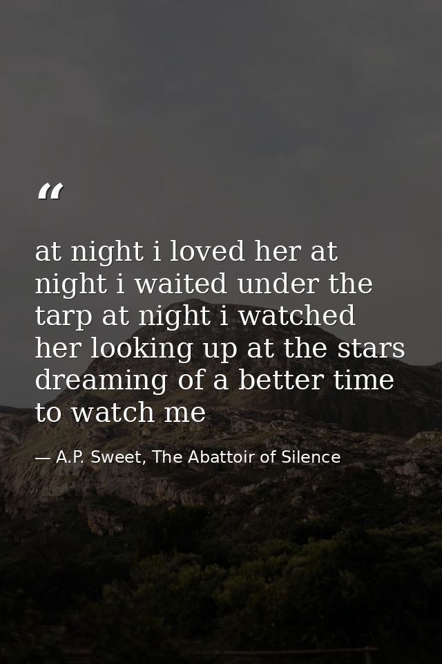 at night i loved her at night i waited under the tarp at night i watched her looking up at the stars dreaming of a bette — A.P. Sweet, The Abattoir of Silence
