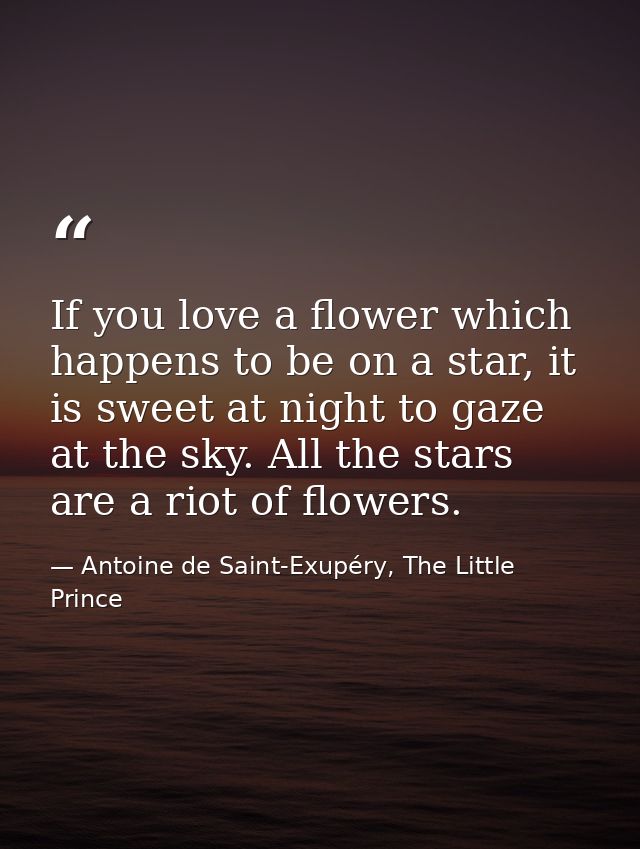 If you love a flower which happens to be on a star, it is sweet at night to gaze at the sky. All the stars are a riot of — Antoine de Saint-Exupéry, The Little Prince